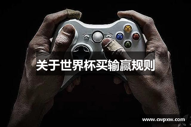 关于世界杯买输赢规则